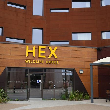 Hex Wildlife Hotel At Yorkshire Wildlife Park ドンカスター エクステリア 写真